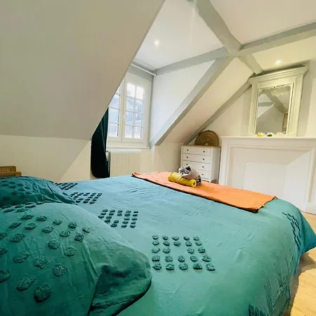 Hypercentre Et Vue Cathédrale - 412