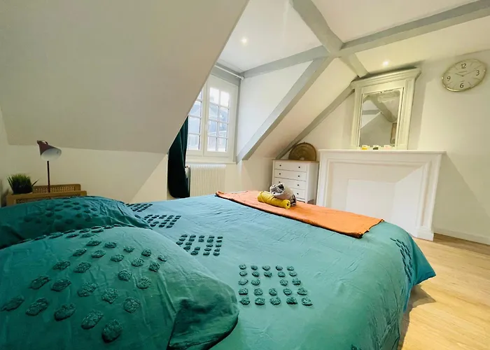 Hypercentre Et Vue Cathédrale - 412